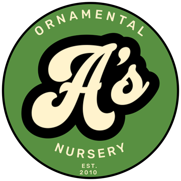 A's Ornamental Nursery